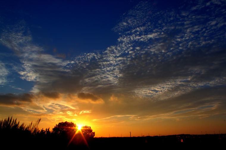 Texas Sunburst